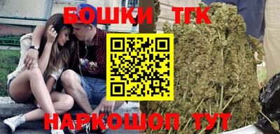индика Аша