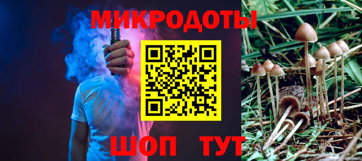 Псилоцибиновые грибы Cubensis Белогорск