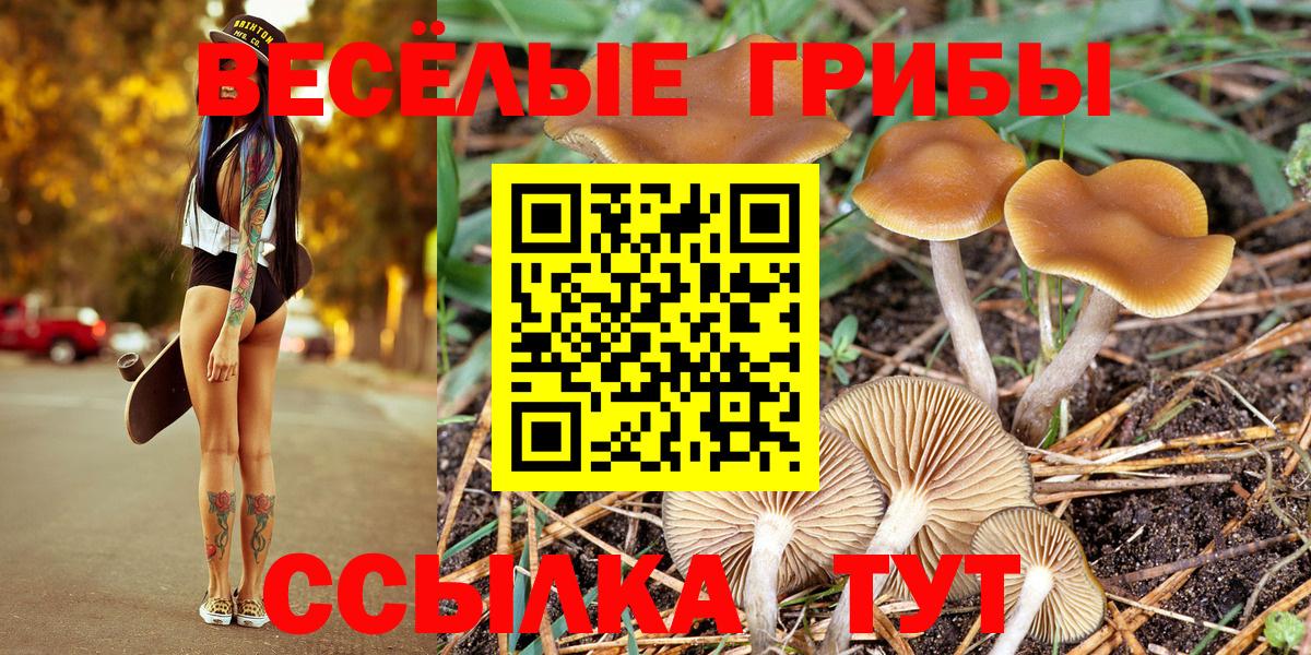 Псилоцибиновые грибы Cubensis  Вход с VPN  Белогорск 